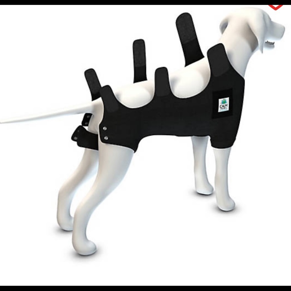 Calm Paws Recovery Vest
